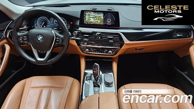 BMW Série 5 (G30) 520i Luxury 2019 — photo 7 sur 20
