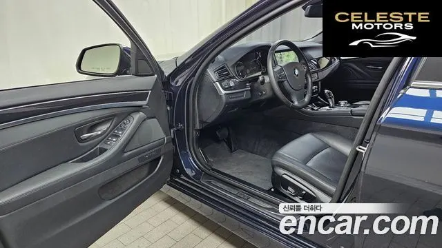 BMW Série 5 (F10) 520d xDrive 2015 — photo 10 sur 20