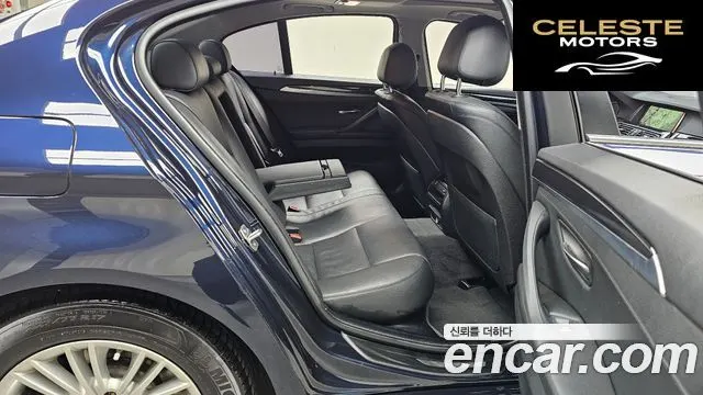 BMW Série 5 (F10) 520d xDrive 2015 — photo 12 sur 20