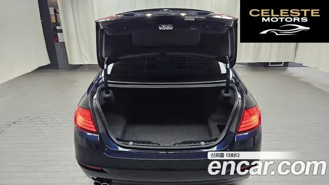 BMW Série 5 (F10) 520d xDrive 2015 — photo 17 sur 20