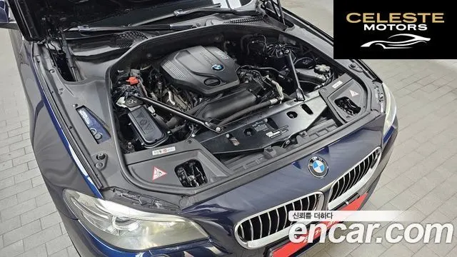 BMW Série 5 (F10) 520d xDrive 2015 — photo 6 sur 20