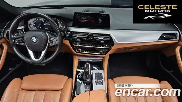 BMW Série 5 (G30) 520d M Sport Spécial Edition 2018 — photo 10 sur 30
