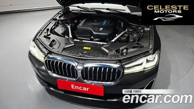 BMW Série 5 (G30) 530e Luxury 2021 — photo 6 sur 35