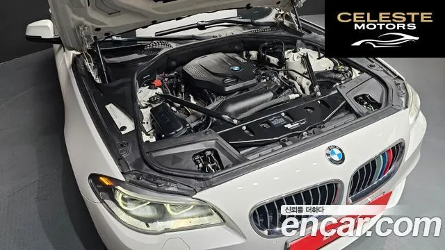 BMW Série 5 (F10) 520d M Aéro Dynamic 2016 — photo 6 sur 20