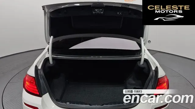 BMW Série 5 (F10) 520d M Aéro Dynamic 2016 — photo 20 sur 20