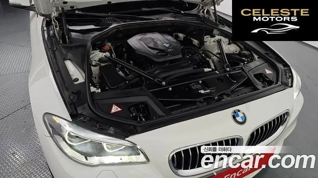 BMW Série 5 (F10) 520d M Aéro Dynamic 2016 — photo 6 sur 20