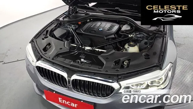 BMW Série 5 (G30) 520d M Sport Plus 2017 — photo 6 sur 20