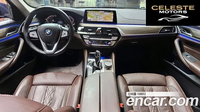 BMW Série 5 (G30) 520d Luxury Plus 2020 — photo 10 sur 30