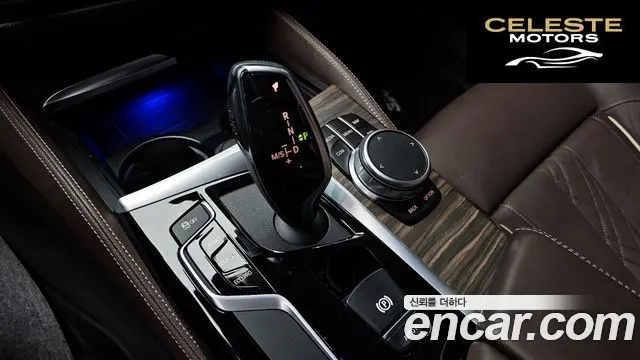 BMW Série 5 (G30) 520d Luxury Plus 2020 — photo 12 sur 30
