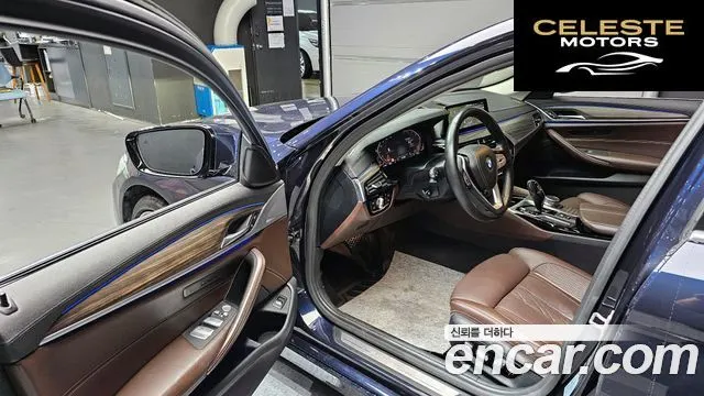 BMW Série 5 (G30) 520d Luxury Plus 2020 — photo 13 sur 30