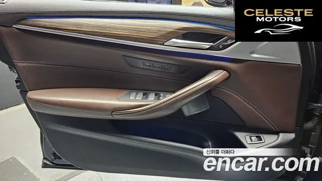 BMW Série 5 (G30) 520d Luxury Plus 2020 — photo 14 sur 30