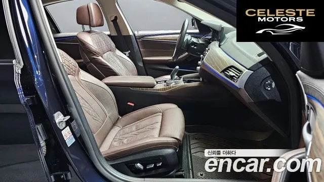 BMW Série 5 (G30) 520d Luxury Plus 2020 — photo 17 sur 30