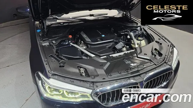 BMW Série 5 (G30) 520d Luxury Plus 2020 — photo 6 sur 30