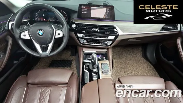 BMW Série 5 (G30) 520d Luxury Plus 2020 — photo 10 sur 31