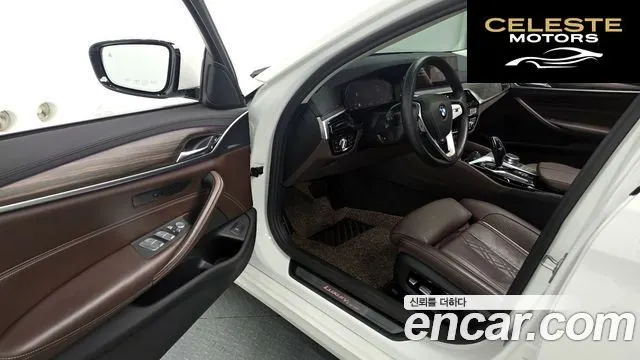BMW Série 5 (G30) 520d Luxury Plus 2020 — photo 13 sur 31