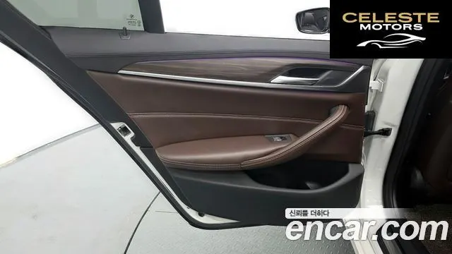 BMW Série 5 (G30) 520d Luxury Plus 2020 — photo 15 sur 31