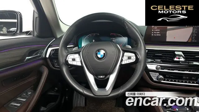 BMW Série 5 (G30) 520d Luxury Plus 2020 — photo 18 sur 31