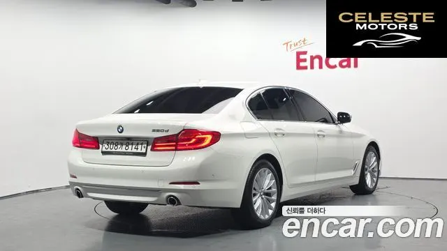 BMW Série 5 (G30) 520d Luxury Plus 2020 — photo 2 sur 31