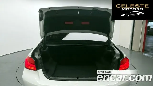 BMW Série 5 (G30) 520d Luxury Plus 2020 — photo 26 sur 31