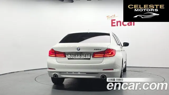 BMW Série 5 (G30) 520d Luxury Plus 2020 — photo 4 sur 31