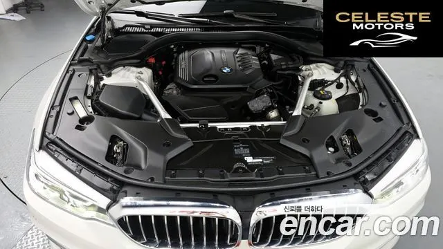 BMW Série 5 (G30) 520d Luxury Plus 2020 — photo 6 sur 31