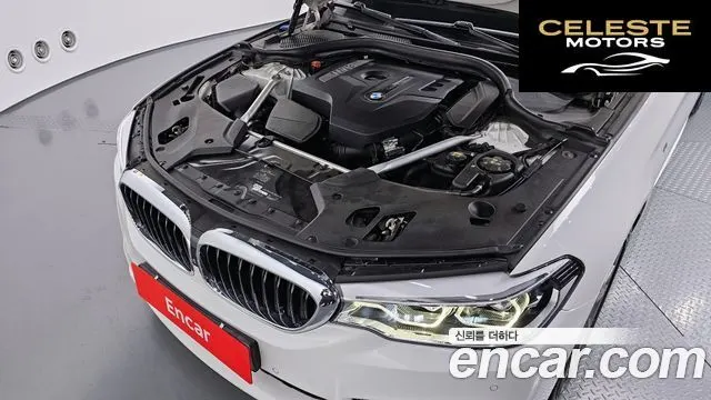 BMW Série 5 (G30) 530i xDrive M Sport Plus 2018 — photo 6 sur 20