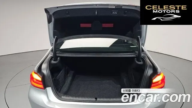 BMW Série 5 (G30) 520i Luxury 2018 — photo 25 sur 33