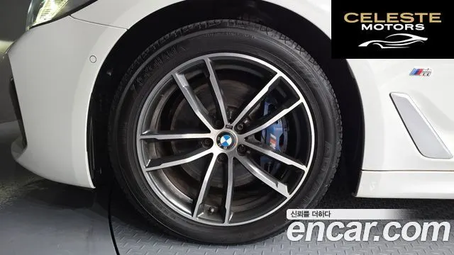 BMW Série 5 (G30) 523d M Sport 2021 — photo 5 sur 20