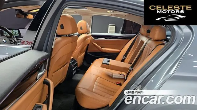 BMW Série 5 (G30) 520i Luxury 2018 — photo 12 sur 26