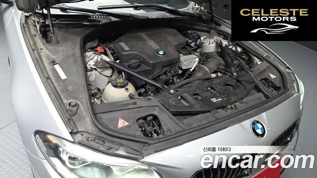 BMW Série 5 (F10) 528i Luxury 2014 — photo 6 sur 20