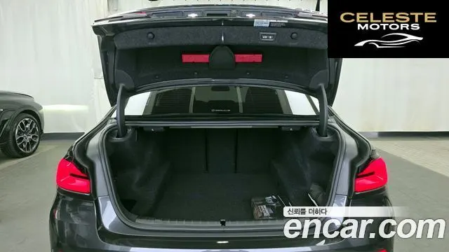 BMW Série 5 (G30) 520i Luxury 2023 — photo 25 sur 32