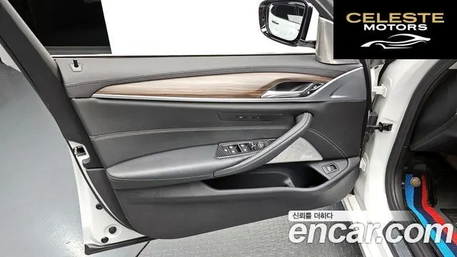 BMW Série 5 (G30) 530i Luxury Plus 2019 — photo 13 sur 34