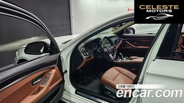BMW Série 5 (F10) 520d M Aéro Dynamic 2016 — photo 10 sur 20