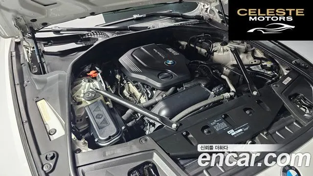 BMW Série 5 (F10) 520d M Aéro Dynamic 2016 — photo 6 sur 20