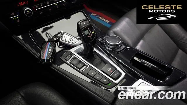 BMW Série 5 (F10) 530d xDrive M Aéro Dynamic 2016 — photo 9 sur 20