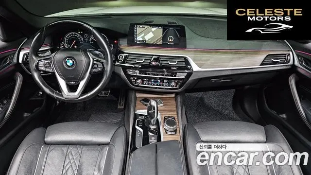 BMW Série 5 (G30) 520d xDrive M Sport Plus 2017 — photo 37 sur 39