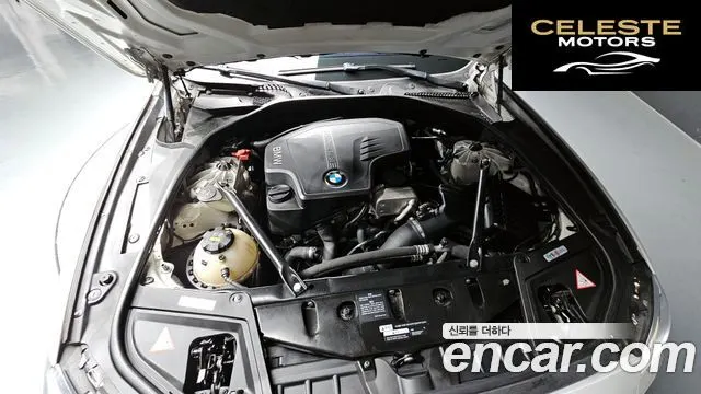 BMW Série 5 (F10) 528i M Aéro Dynamic 2016 — photo 6 sur 20