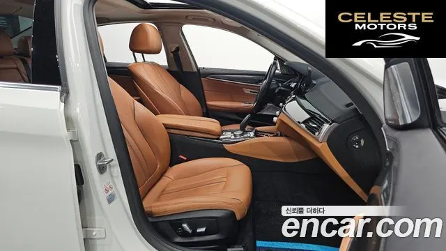 BMW Série 5 (G30) 520i Luxury 2018 — photo 12 sur 33