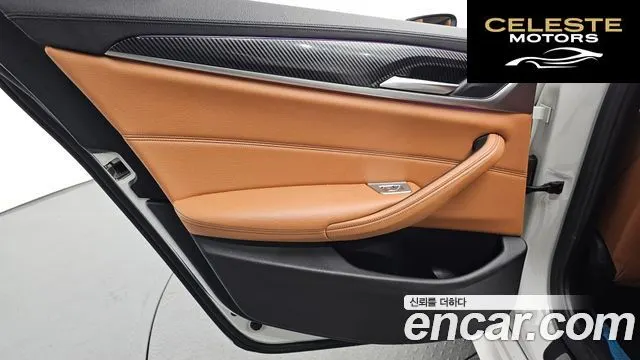 BMW Série 5 (G30) 520i Luxury 2018 — photo 14 sur 33