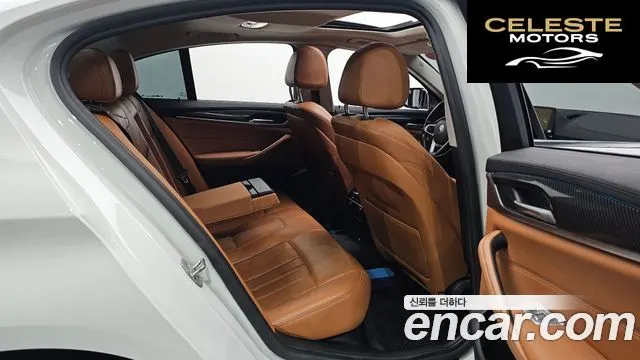 BMW Série 5 (G30) 520i Luxury 2018 — photo 15 sur 33