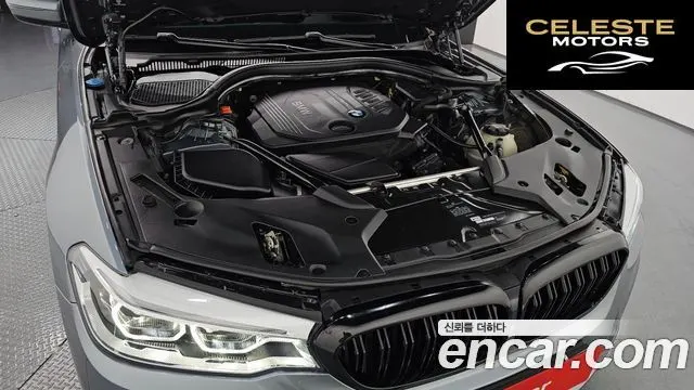 BMW Série 5 (G30) 520d xDrive M Sport Plus 2017 — photo 6 sur 20
