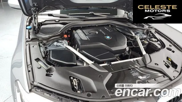 BMW Série 5 (G30) 530i M Sport Plus 2019 — photo 6 sur 33