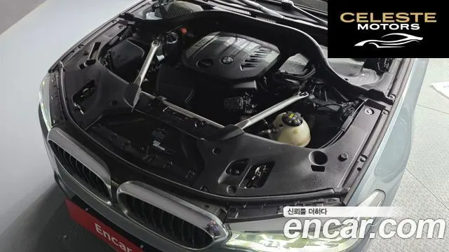 BMW Série 5 (G30) 520d xDrive M Sport Plus 2019 — photo 5 sur 32