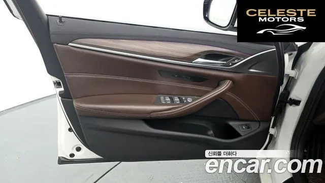 BMW Série 5 (G30) 520d Luxury Plus 2020 — photo 14 sur 31
