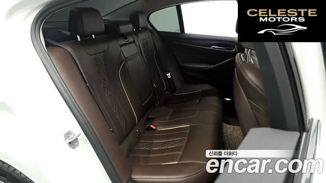 BMW Série 5 (G30) 520d Luxury Plus 2020 — photo 17 sur 31