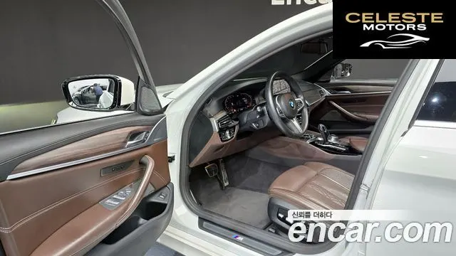 BMW Série 5 (G30) 520d M Sport Plus 2020 — photo 10 sur 20