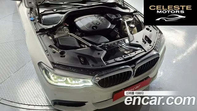 BMW Série 5 (G30) 520d M Sport Plus 2020 — photo 6 sur 20