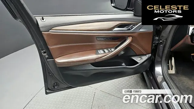 BMW Série 5 (G30) 520d xDrive M Sport Plus 2020 — photo 14 sur 36