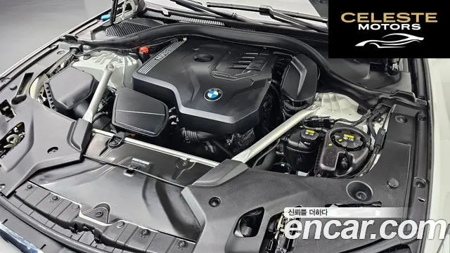 BMW Série 5 (G30) 530i xDrive Luxury 2021 — photo 6 sur 26