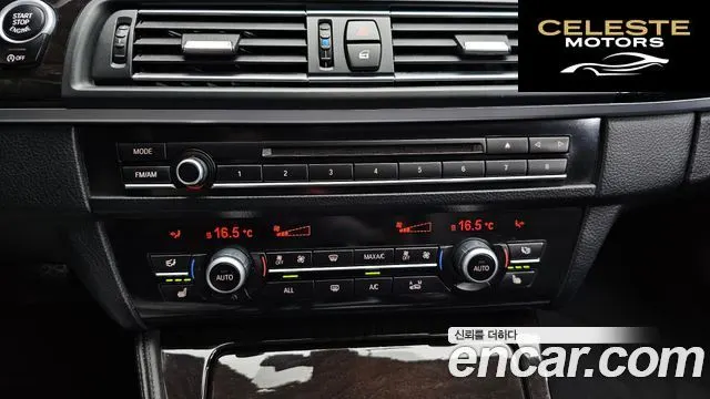 BMW Série 5 (F10) 520d 2013 — photo 16 sur 20